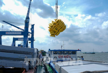 Hà Nội thành lập Hiệp hội Logistics